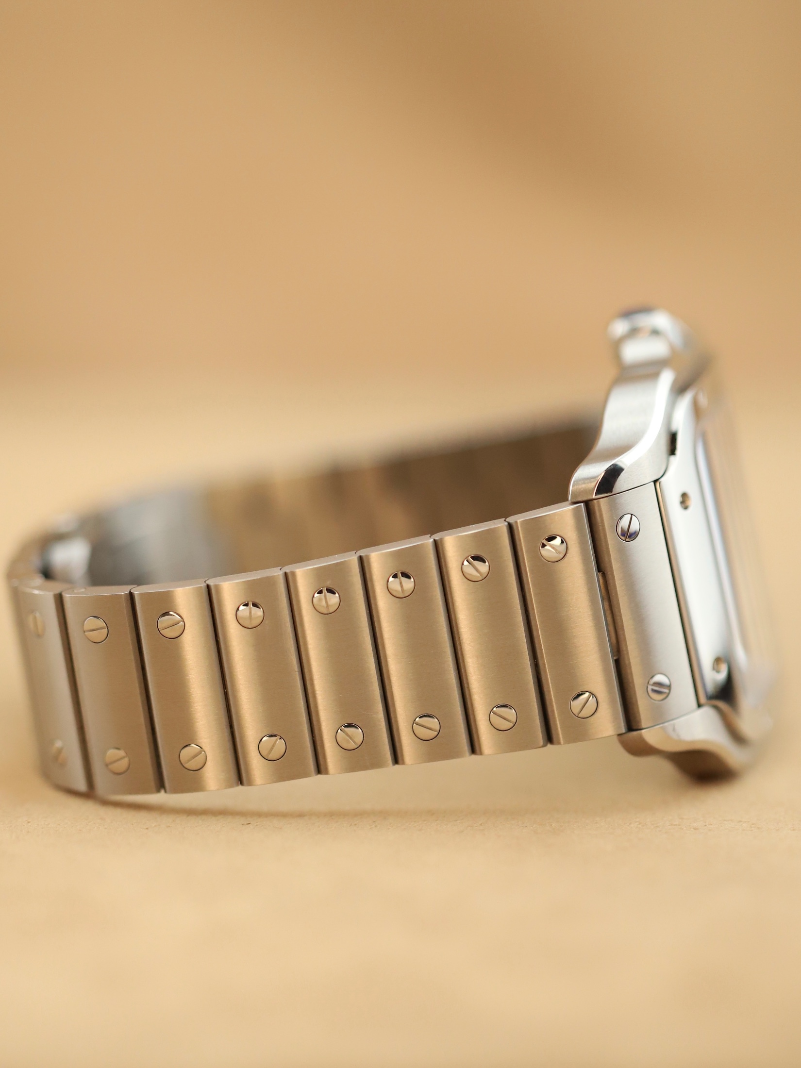 Cartier Santos De Cartier foto 4