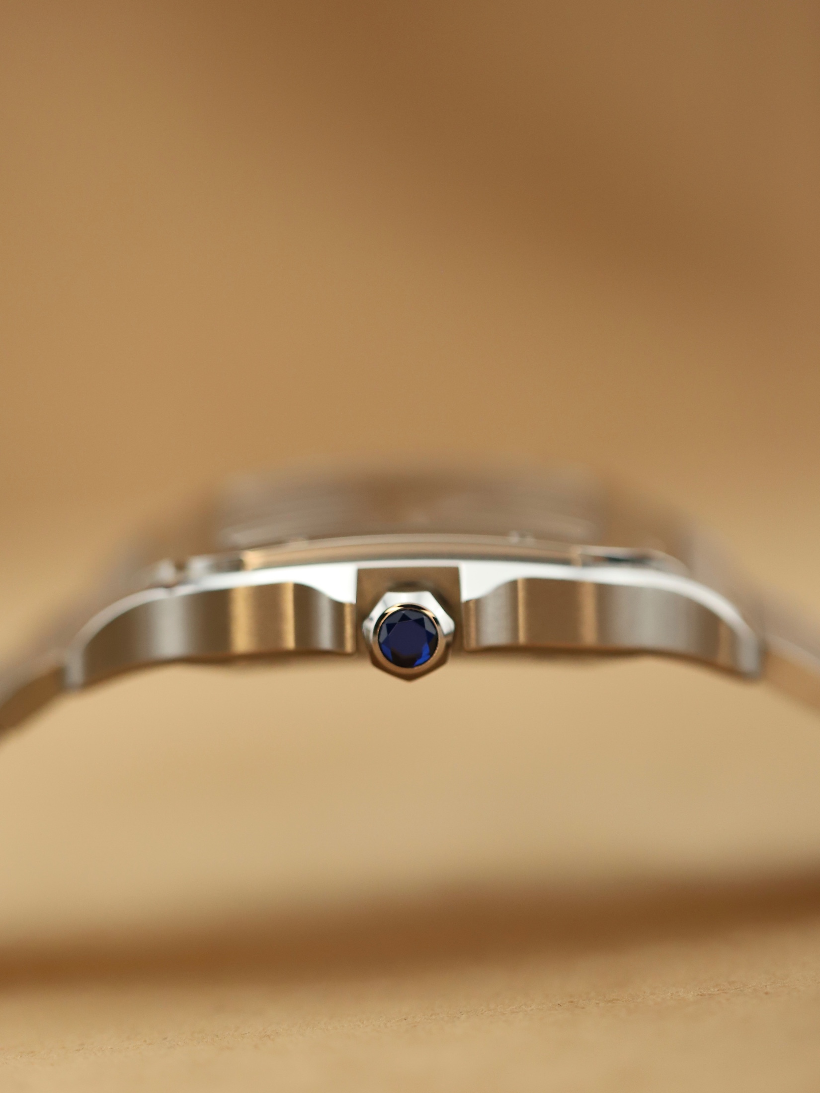 Cartier Santos De Cartier foto 8