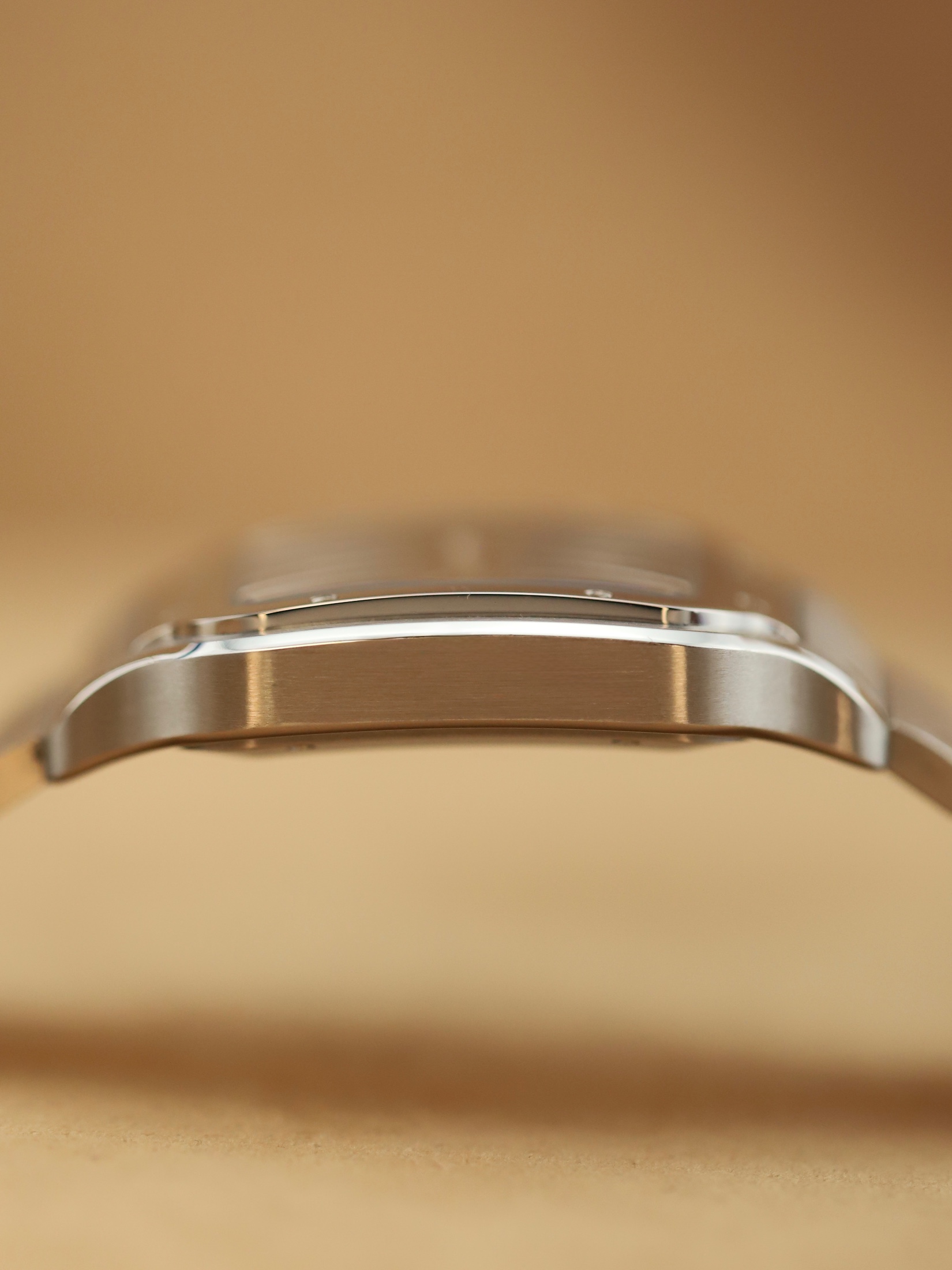 Cartier Santos De Cartier foto 9