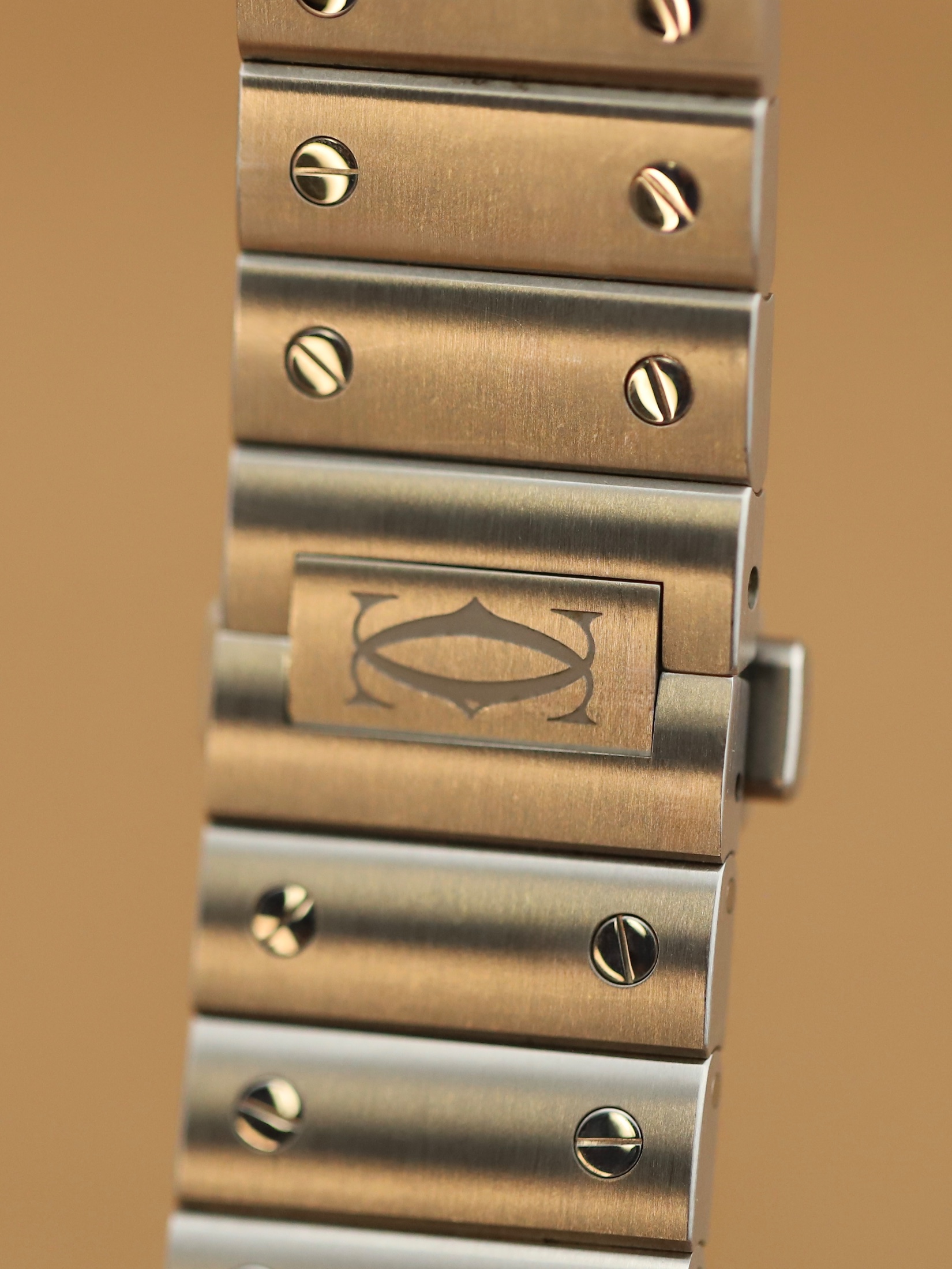 Cartier Santos De Cartier foto 11